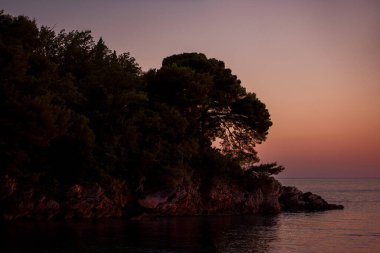 Rocky seashore, beach with green pine trees at sunset. Nature of Montenegro. Natural, texture background. Turquoise calm Adriatic Sea. Green coniferous forest. Scenic seascape. Wallpaper, copy space