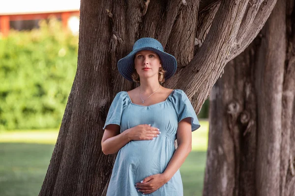 Portrait of middle-aged pregnant woman in denim blue dress, hat. The future mother stands among the huge, brown trees. Travel during pregnancy. Maternity and woman pregnancy concept.