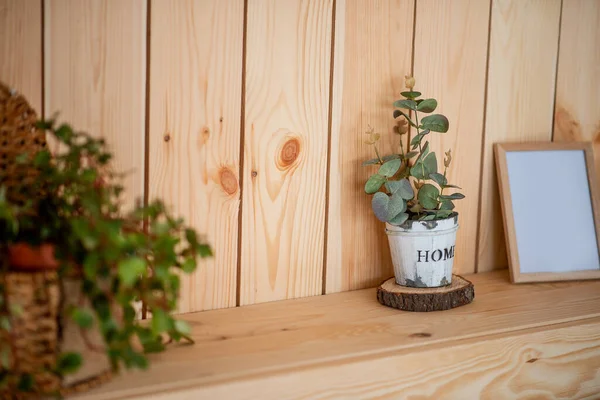 stock image On wooden shelf stands Eucalyptus in a hand made pot with white scuffs. Rustic, Scandinavian style in the interior of the apartment. Botanical design. Copy space. Eco, natural home decoration. Mock up