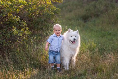Küçük çocuk beyaz tüylü Samoyed köpeğini sevgiyle kucaklıyor. İnsan ve hayvan arasındaki arkadaşlık. Terapi, eğitim, bakım, hayvan bakımı. Köpekle birlikte doğada dolaşmak. Bebeğin evcil hayvanlara karşı hassasiyeti.