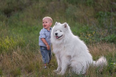 Küçük çocuk beyaz tüylü Samoyed köpeğini sevgiyle kucaklıyor. İnsan ve hayvan arasındaki arkadaşlık. Terapi, eğitim, bakım, hayvan bakımı. Köpekle birlikte doğada dolaşmak. Bebeğin evcil hayvanlara karşı hassasiyeti.