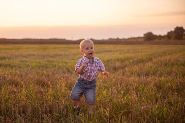 Ekose gömlekli küçük çocuğun portresini yakından çek. Duyguları olan bir çocuk gün batımında çim biçme tarlasında buğday dikenleri yer. Kırsal bölgelerde tasasız bir çocukluk. Özgürlük ve mutluluk kavramı