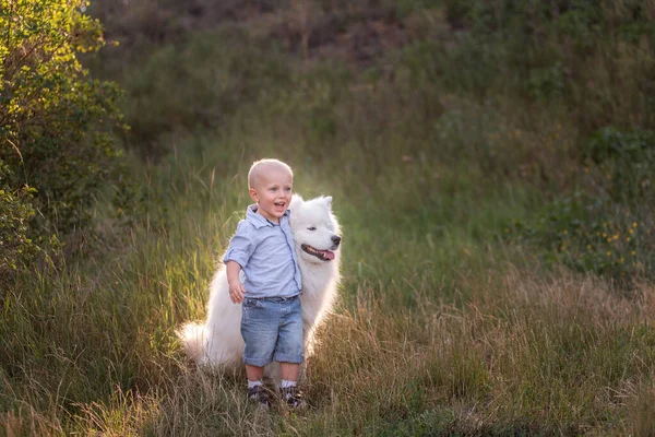 Malý Chlapec Láskyplně Objímá Bílého Chlupatého Samojovaného Psa Přátelství Mezi — Stock fotografie