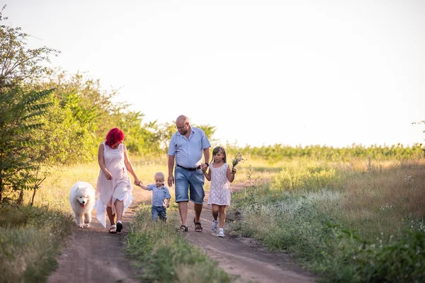 Família Diversidade Brilhante Caminha Nos Caminhos Campo Com Cão Samoyed — Fotografia de Stock