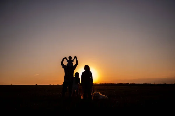 日落时带着萨摩亚狗的家庭概况 脸色苍白 人们背对着摄像机站着 旅行的概念 对未来的信心 和宠物一起旅行童年生活方式 — 图库照片