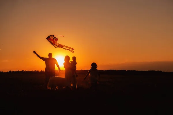 Güneş Batarken Samoyed Gökyüzünde Uçurtmayla Koştuğu Panorama Siluet Çeşitliliği Ailesi — Stok fotoğraf