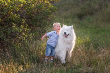 Küçük çocuk beyaz tüylü Samoyed köpeğini sevgiyle kucaklıyor. İnsan ve hayvan arasındaki arkadaşlık. Terapi, eğitim, bakım, hayvan bakımı. Köpekle birlikte doğada dolaşmak. Bebeğin evcil hayvanlara karşı hassasiyeti.