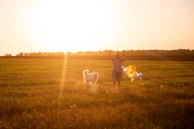 Gün batımında, kel ve uçurtmalı gözlüklü adam, tarlada beyaz Samoylu. Kırsal bölgelerde köpeklerle milenyum oyunları. Evcil hayvanlarla seyahat. Sıcak aile anıları. Mutlu arkadaşlıklar. Boşluğu kopyala