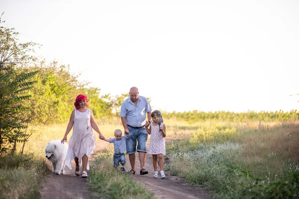 Jasna Różnorodność Rodziny Spaceruje Ścieżkach Polu Samoyed Dog Podróżuje Zwierzętami — Zdjęcie stockowe