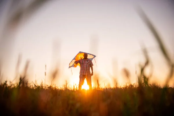 Güneş Batarken Uçurtmalı Gözlüklü Kel Adam Babam Kırsal Bölgelerde Çocuklarla — Stok fotoğraf