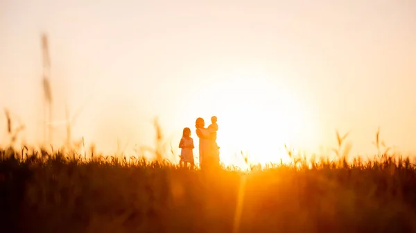 Mothers silhouette with little son in arms and daughter in sunset on the field. Orange natural background. Panoramic view. Traveling with children to rural areas. Concept of freedom, care, love