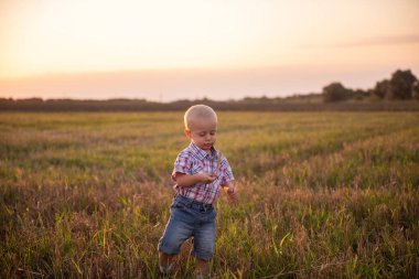Ekose gömlekli küçük çocuğun portresini yakından çek. Duyguları olan bir çocuk gün batımında çim biçme tarlasında buğday dikenleri yer. Kırsal bölgelerde tasasız bir çocukluk. Özgürlük ve mutluluk kavramı