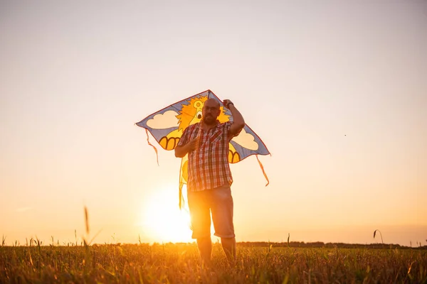 In the rays of the sunset sun, bald man with glasses with kite in the field. Father plays with children in rural areas. View through the ears of the meadow. Warm family memories. Outdoor time spending