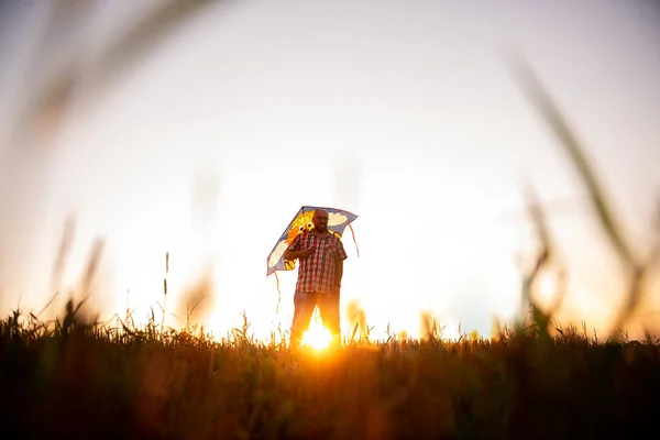 在夕阳西下的阳光下 秃头的男人带着眼镜 田野里放着风筝 父亲在农村地区和孩子们玩耍 透过草地的耳朵看过去 温暖的家庭记忆 户外运动时间 — 图库照片