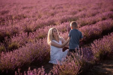 Küçük oğlu gün batımında annesine lavanta tarlasında parlak bir buket verir. Beyaz elbiseli genç bir kadın oğlanın hediyesine seviniyor. Alerji, seyahat, bekar ebeveyn kavramı. Tatil yaşam tarzı