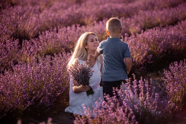 小さな息子は日没時にラベンダー畑で母に明るい花束を与えます 白いドレスを着た若い千波万波の女性は男の子からの贈り物を喜ぶ アレルギー 単一の親の概念 休日の生活 — ストック写真