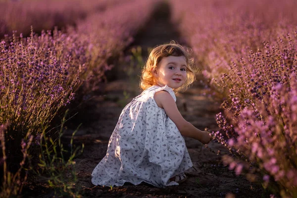 Klein Meisje Bloemenjurk Loopt Tussen Rijen Paarse Lavendel Het Veld — Stockfoto