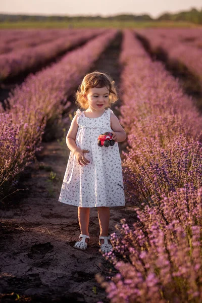 Little Girl Flower Dress Runs Rows Purple Lavender Field Child — Stock Photo, Image