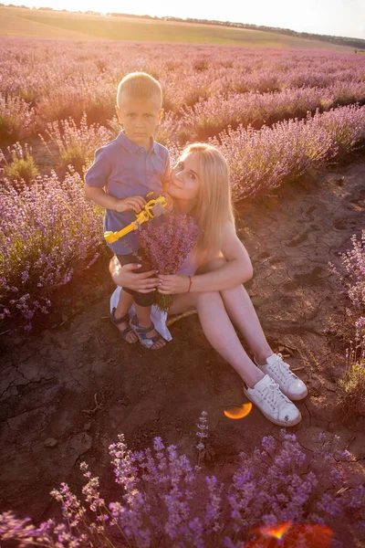 Маленький Син Обіймає Матір Плечах Лавандовому Полі Заході Сонця Молода — стокове фото