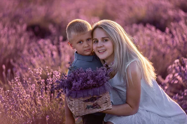 Мать Маленький Сын Держат Корзину Букетом Фиолетовой Лаванды Поле Портрет — стоковое фото