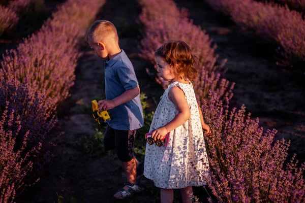 Играющая Маленькая Симпатичная Пара Мальчик Девочка Гуляет Пурпурному Цветку Лаванды — стоковое фото