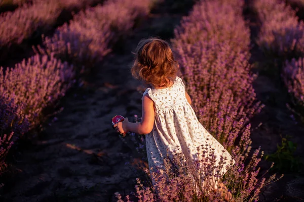 Rozmyta Mała Dziewczynka Sukience Kwiatowej Stoi Tyłu Polu Fioletowej Lawendy — Zdjęcie stockowe