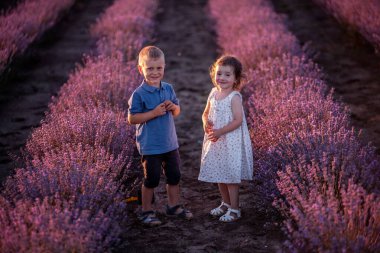 Mor lavanta tarlasında küçük bir çiftin şirin portresi. Kafkas erkek kardeş gün batımında eğleniyor. Heyecanlı küçük çocuklar. Aile günü, çocuklar, çocukluk hayatı