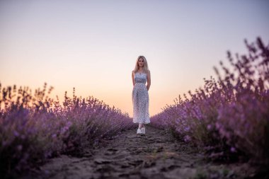 Genç sarışın kadın gün batımında mor tarlaların arasında yürüyor. Kırsal kesimde seyahat et. Alerji kavramı, özgürlük. Çocuksuz romantik bir kızdır. Gün batımından aydınlandı. Boşluğu kopyala