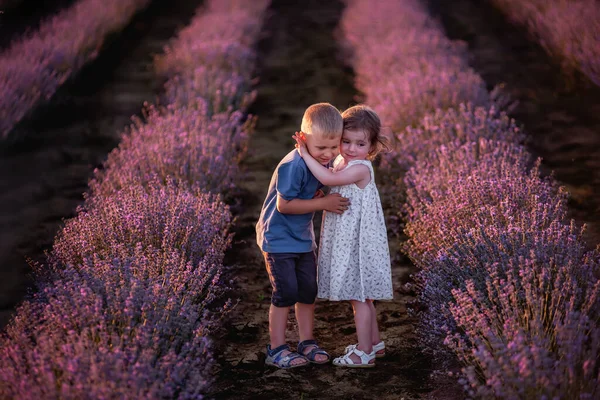 Kleine Kinderen Jongen Meisje Schattig Knuffelen Rijen Van Paarse Lavendel — Stockfoto