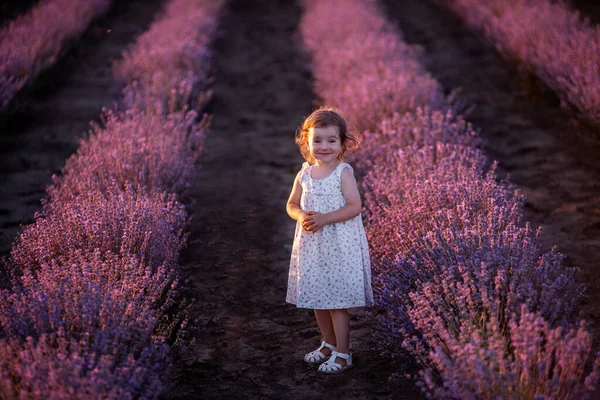 Portrait Little Girl Flower Dress Stay Rows Purple Lavender Field — Stock Photo, Image