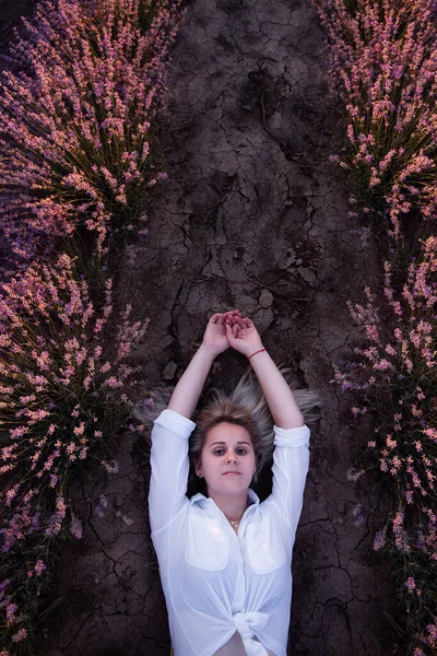 Молода Блондинка Лежить Землі Між Рядами Фіолетового Поля Заході Сонця — стокове фото