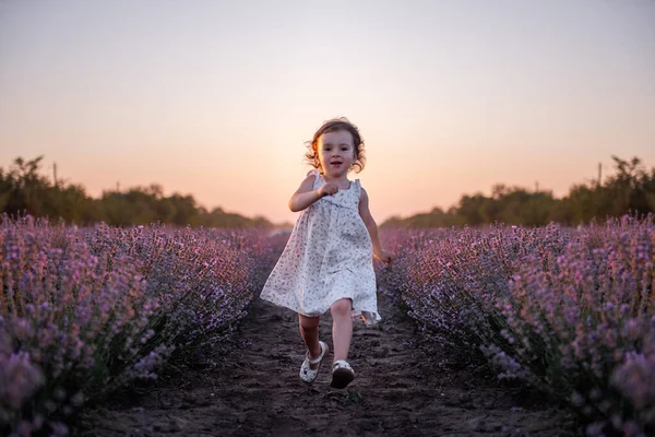 Маленькая Девочка Цветочном Платье Бежит Полю Фиолетовой Лаванды Среди Рядов — стоковое фото