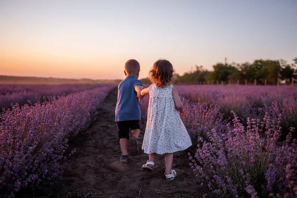 Грайлива Мила Дівчинка Хлопчик Грає Рядах Лавандового Фіолетового Поля Заході — стокове фото