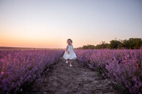 Маленька Дівчинка Квітковому Одязі Проходить Всьому Полю Фіолетового Лаванди Серед — стокове фото