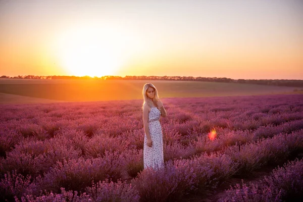 Молода Блондинка Ходить Між Рядами Пурпурового Поля Заході Сонця Подорож — стокове фото