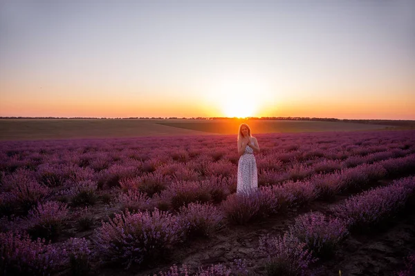 若いブロンドの女性は日没時に紫色のフィールドの行の間を歩く 田舎を旅行しなさい アレルギー 自由の概念 子供はロマンチックな女の子です 日没の日差しに照らされた スペースのコピー — ストック写真