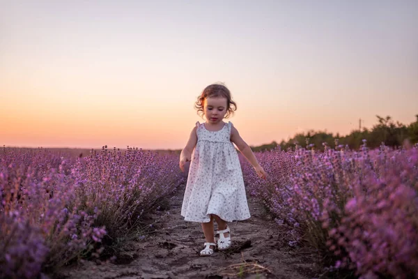 Little girl in flower dress runs across field of purple lavender among the rows at sunset. Toddler child have fun on walk in the countryside. Allergy concept. Natural products, perfumery. Copy space
