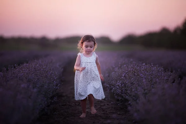 Little Girl Flower Dress Runs Barefoot Field Purple Lavender Rows — Stock Photo, Image