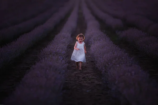 Маленька Дівчинка Квітковому Платті Біжить Босоніж Всьому Полю Фіолетового Лаванди — стокове фото