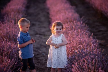Mor lavanta tarlasında küçük bir çiftin şirin portresi. Kafkas erkek kardeş gün batımında eğleniyor. Heyecanlı küçük çocuklar. Aile günü, çocuklar, çocukluk hayatı