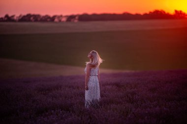 Gün batımında parlak güneş ışınları altında yüzü olmayan sarışın kadın mor tarlada duruyor. Kırsal kesimde seyahat et. Alerji konsepti. Gün batımı gökyüzü. Uzun, sağlıklı saçları olan tasasız bir kız. İnsan yaşam tarzı