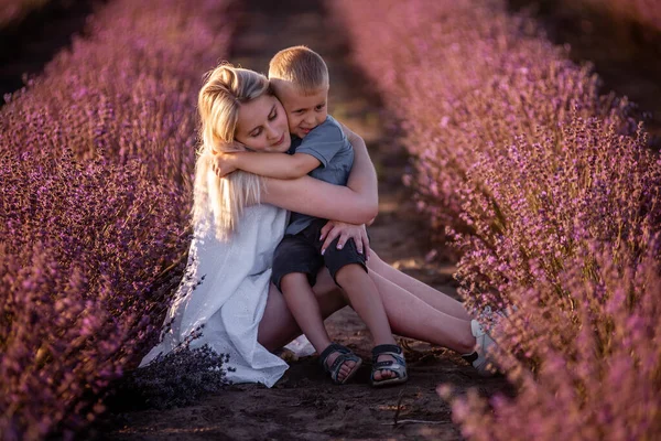 小さな息子を持つブロンドの母親の肖像画は紫色のラベンダー畑に座っています 白いドレスの若い女性は 素敵な包含し 男の子にキス アレルギー 単一の親の概念 スペースのコピー — ストック写真