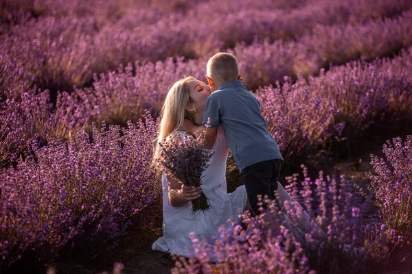 Lilla Sonen Ger Mor Ljus Bukett Lavendelfältet Vid Solnedgången Ung — Stockfoto