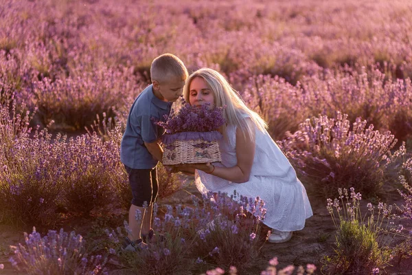 母親と小さな息子が畑に紫色のラベンダーの花束でバスケットを持っています 幼い男の子を抱きしめる若いブロンドの女性の肖像画 アレルギーの概念 自然の香水 美しさ スペースのコピー — ストック写真