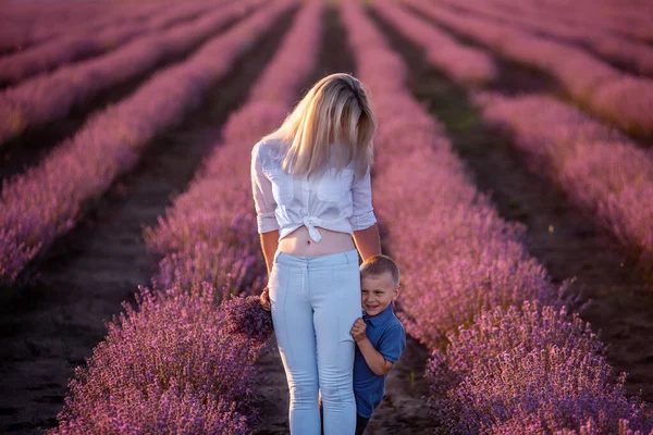 아들은 어머니 숨는다 라벤더 자줏빛 들판에서 꽃다발을 줄지어 걷습니다 시골에 — 스톡 사진