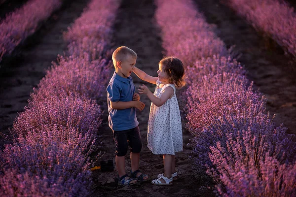 Kleine Kinderen Jongen Meisje Schattig Knuffelen Rijen Van Paarse Lavendel — Stockfoto