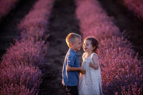 Schattig Mooi Portret Van Kleine Koppel Jongen Meisje Paarse Lavendel — Stockfoto