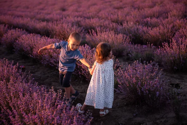 遊び心のある小さなかわいいカップルの男の子の女の子紫色のラベンダーの花の草原フィールドの背景には 楽しい 良い晴れた日をお楽しみください 興奮した小さな子供たち 家族の日 子供のライフスタイルのコンセプト — ストック写真