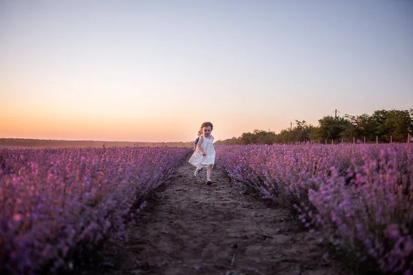 Mała Dziewczynka Sukience Kwiatowej Biegnie Przez Pole Fioletowej Lawendy Wśród — Zdjęcie stockowe