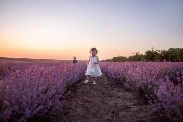 스러운 귀여운 소녀는 석양에 라벤더 보라색 들판에서 부부들 서로를 쫓으며 — 스톡 사진